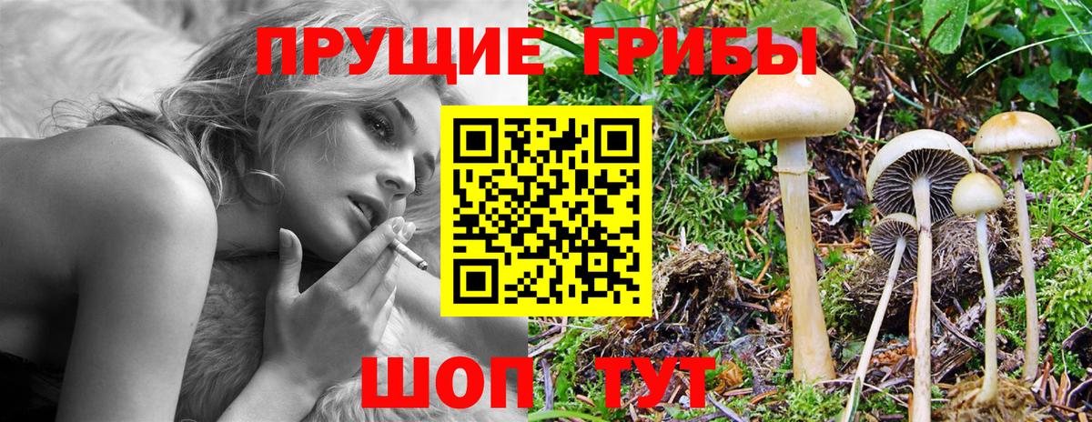 Новоалтайск  Псилоцибиновые грибы мицелий  Вход с VPN  Галлюциногенные грибы Magic Shrooms 